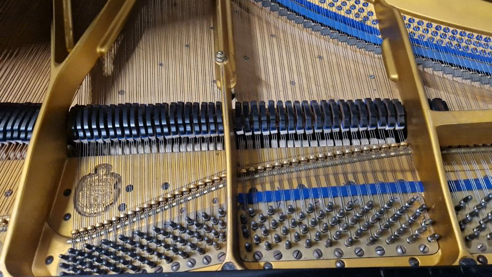 Markowy Fortepian Blüthner 190 Mod. 6.