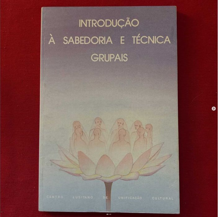 Introdução à Sabedoria e Técnica Grupais