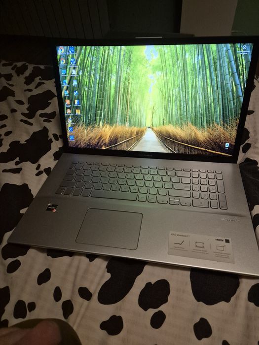 ASUS Vivobook 17