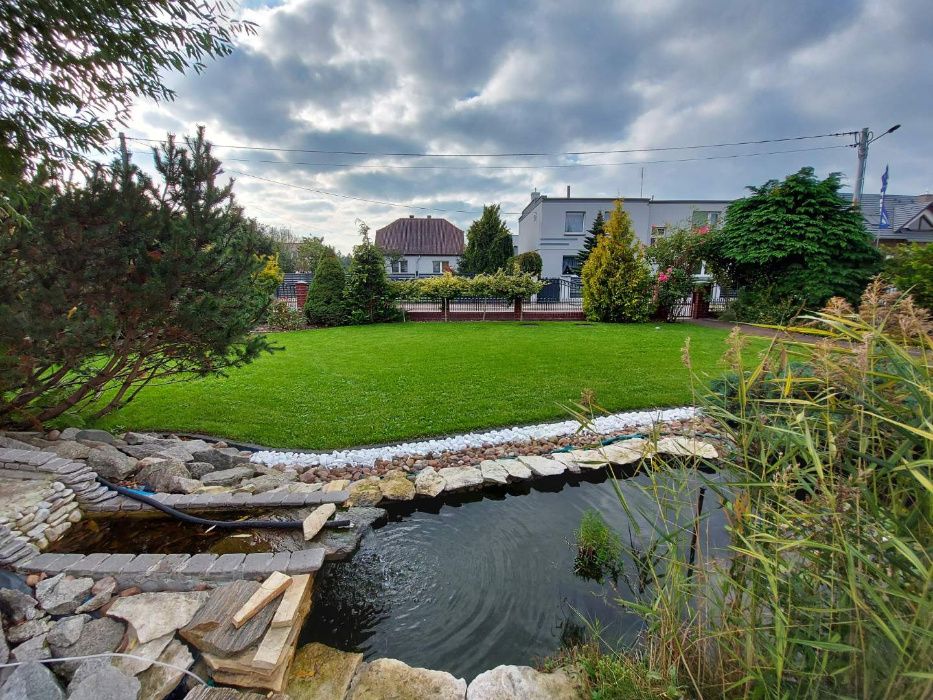 trawnik  siatka na krety  ogród od podstaw