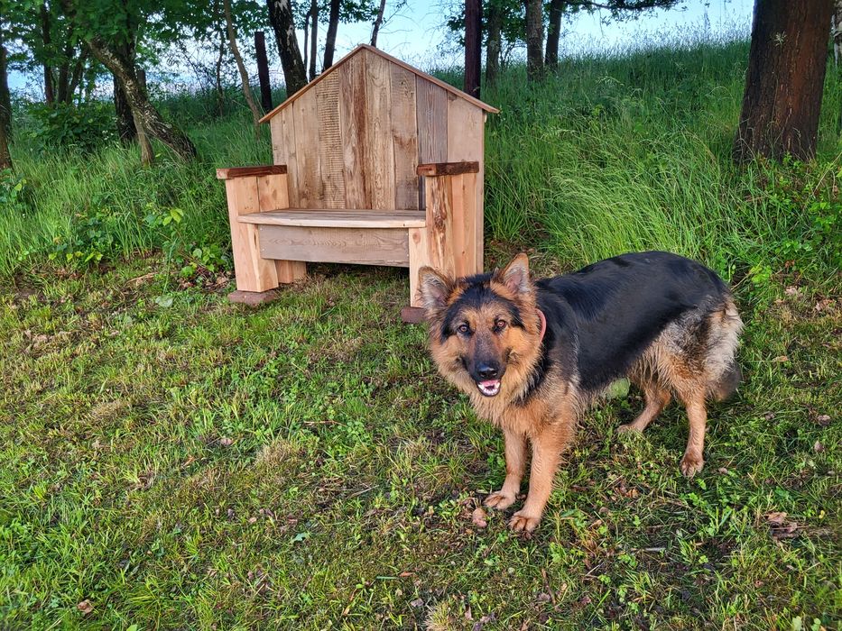 Ławeczka ogrodowa