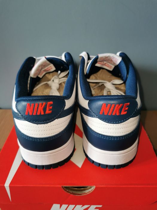 Buty Nike dunk low Valerian Blue 46