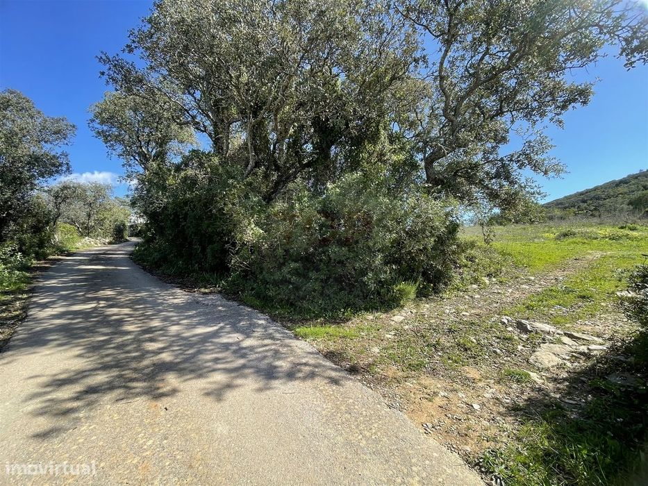 Rustic Land for Sale in Santa Bárbara de Nexe