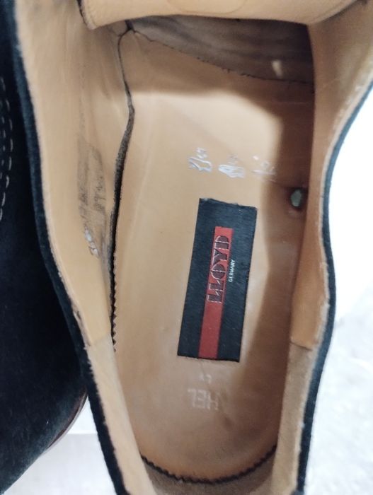 Buty Lloyd Zamsz