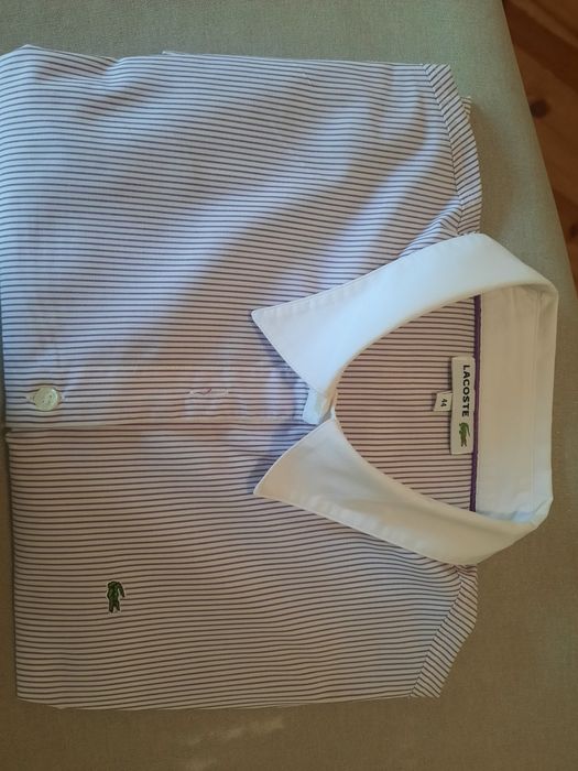 Camisa de risca Lacoste