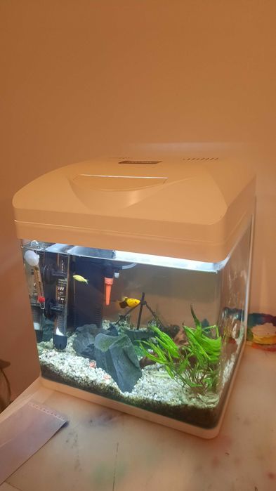 Akwarium INVITAL 30 L