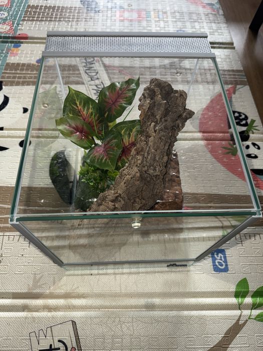 Terrarium z wyposażeniem