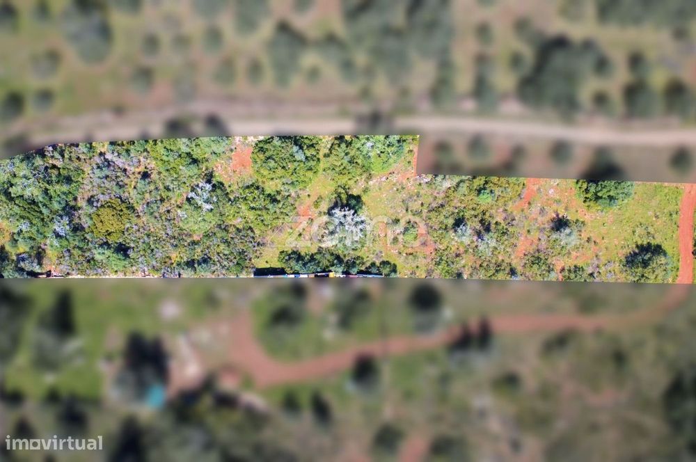Terreno Rústico com 3 660² na Franqueira