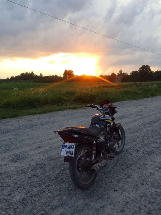 Продам мустанг регион 150