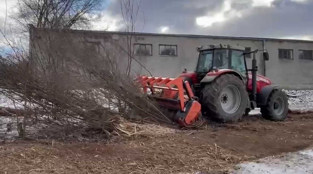Mulczerowanie koszenie traw nieużytków zarośli drzew pni