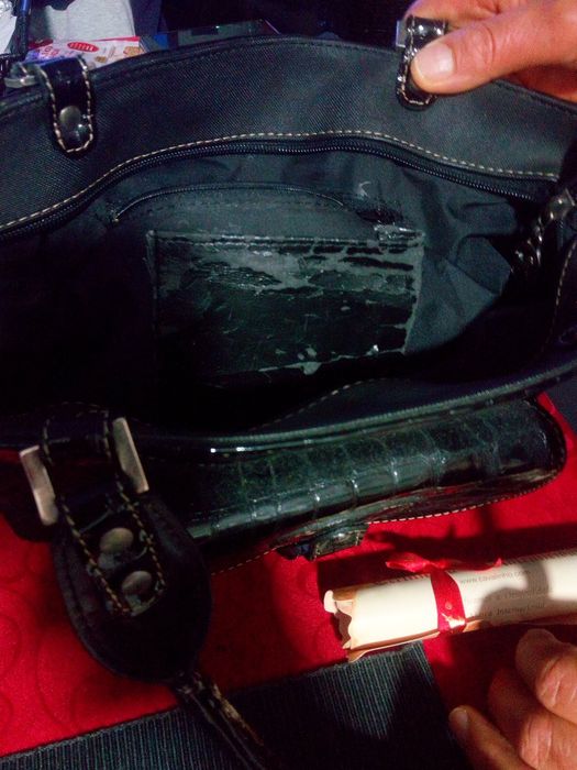 Mala cavalinho com certificado