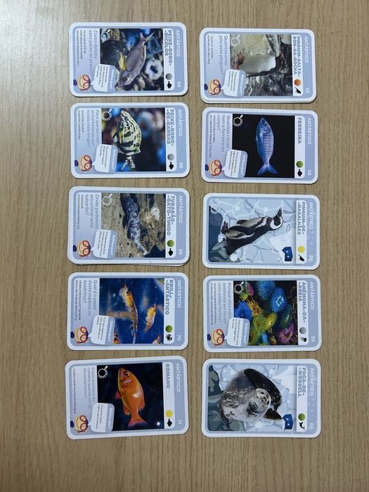 Cartas Super Animais 2, vida marinha - Pingo Doce