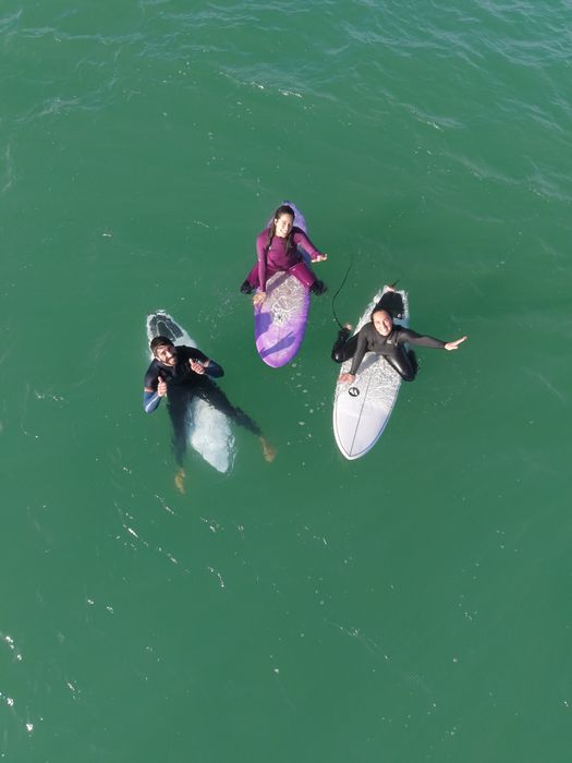 Serviço de drone  / fotografia e vídeos aéreos