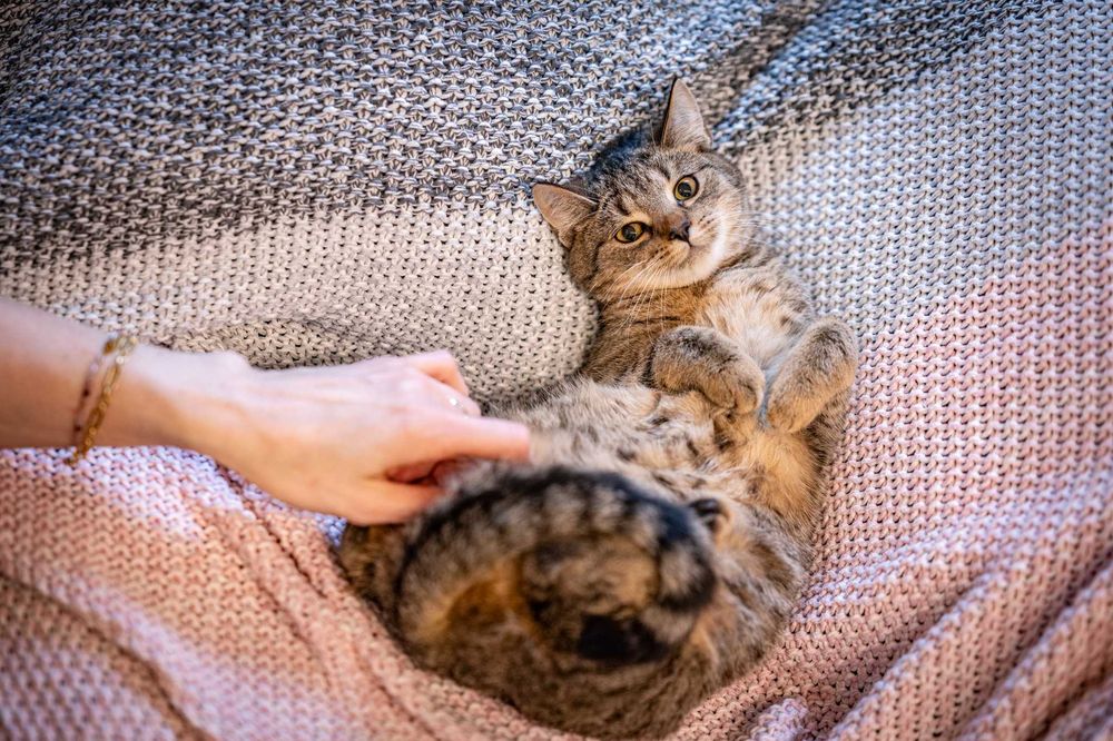 Pomoc domowa zadnej pracy się nie boi!