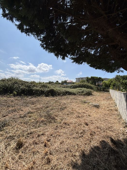 Limpeza terrenos e Matos / Porto / Aveiro