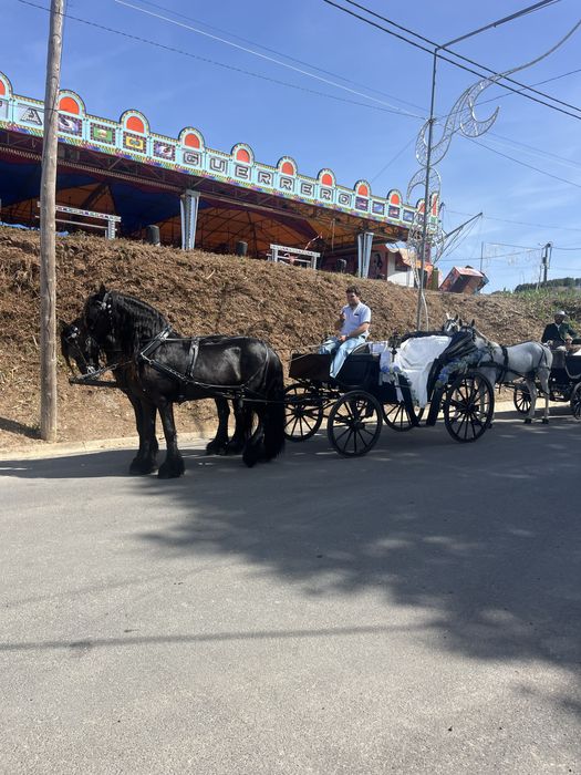 Festas/casamentos/eventos