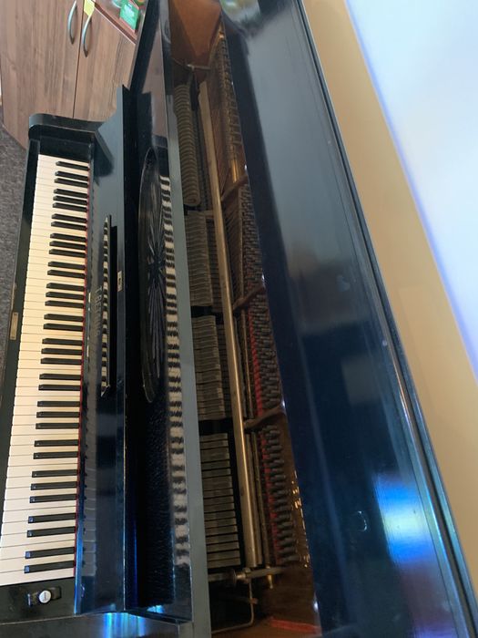 Pianino T. Betting