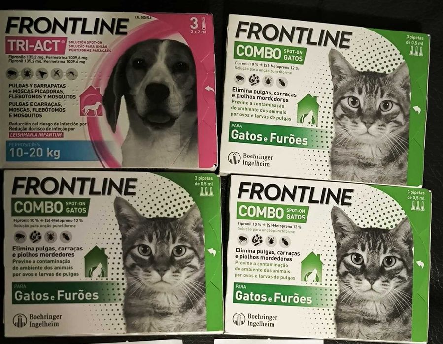 Frontline Gato Cao Com talao