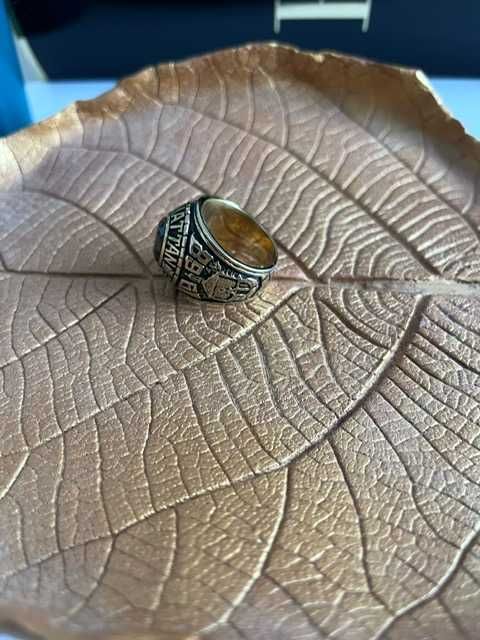 Anel de Aço (dourado)