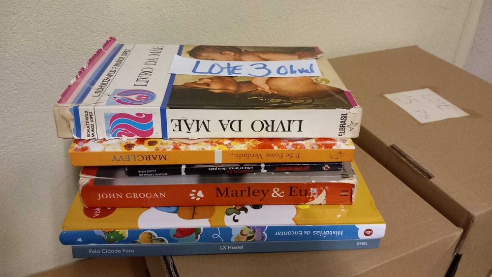 LOTE 3 - LIVROS Diversos - Vendidos EM SEPARADO - Individualmente