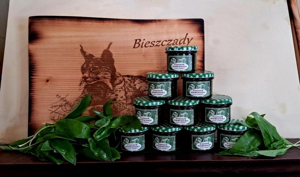 Ocet jabłkowy  i czosnek niedźwiedzi