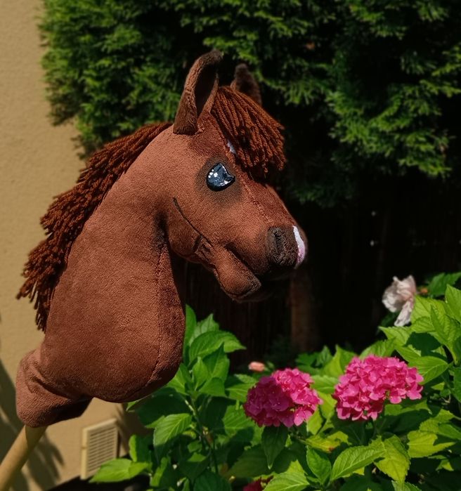 Hobby horse ciemnokasztanowaty