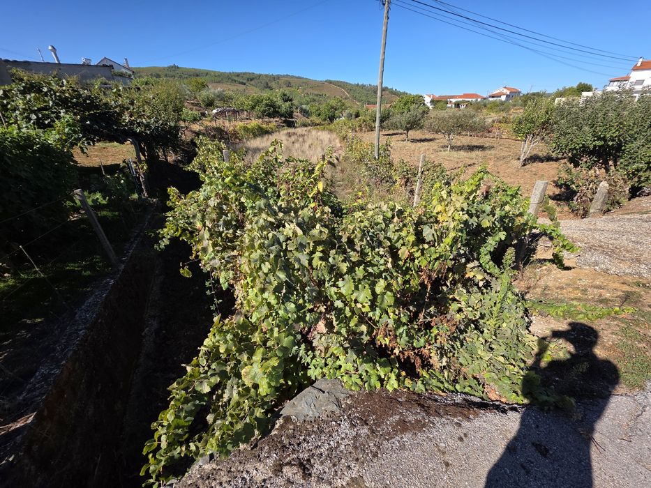 Terreno rústico Estreito vilar-barroco