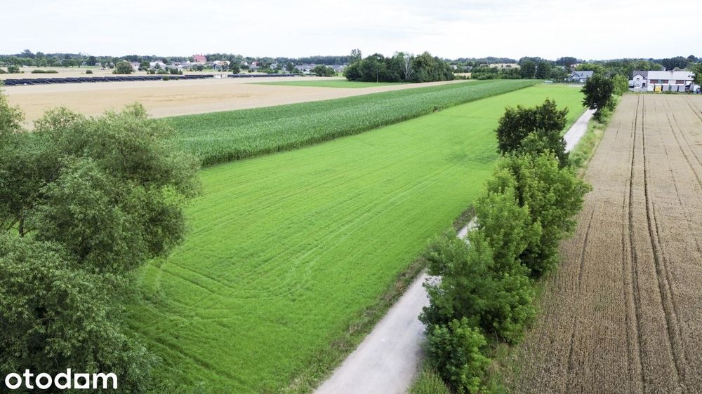 Teren inwestycyjny 15 574 m² | WZ - Widok 5