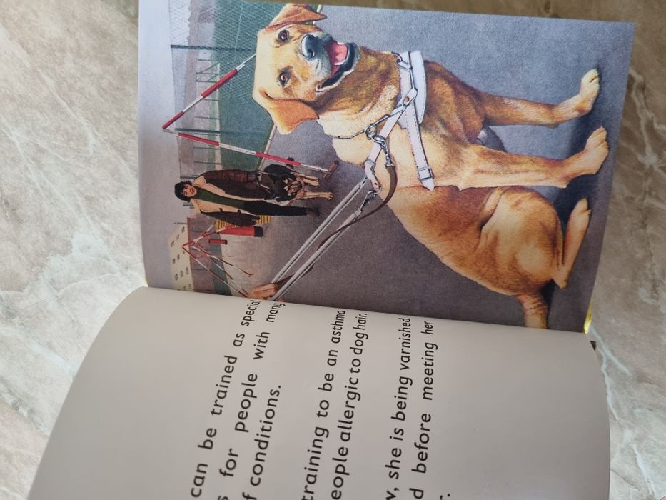 The Dog książka w języku angielskim o psach