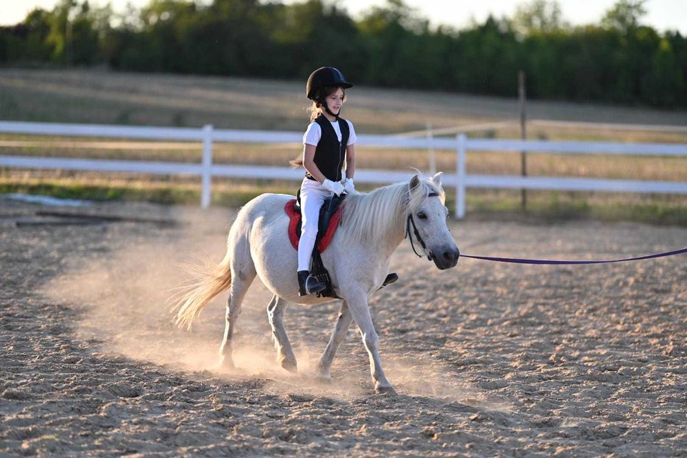 Kucyk dla poczatkującego
