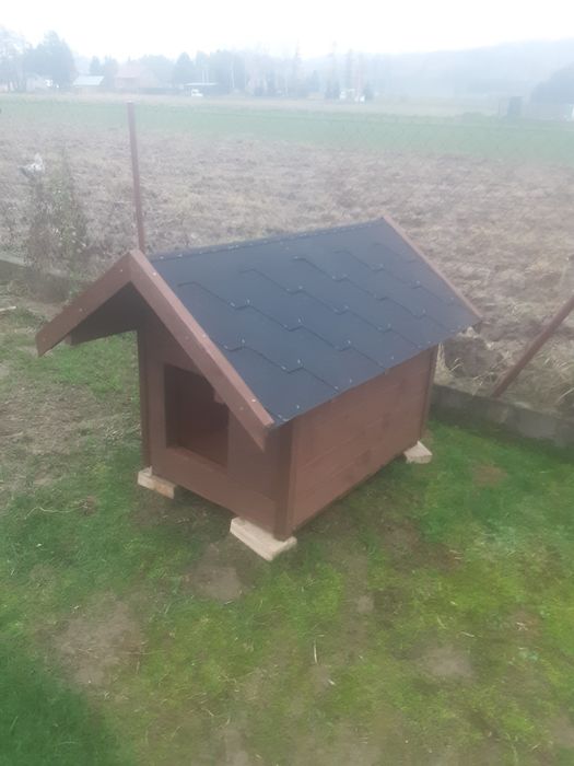 Buda dla psa labrador owczarek