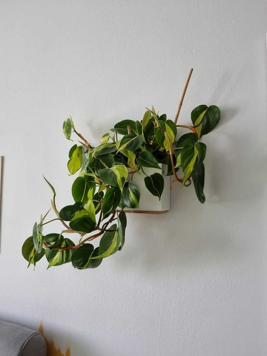 Zestaw 3 wiszących doniczek doniczki na kwiaty rośliny kwietniki