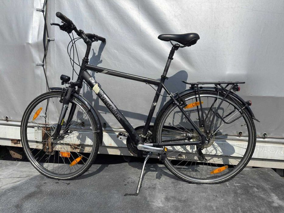 Rower Pegasus Piazza