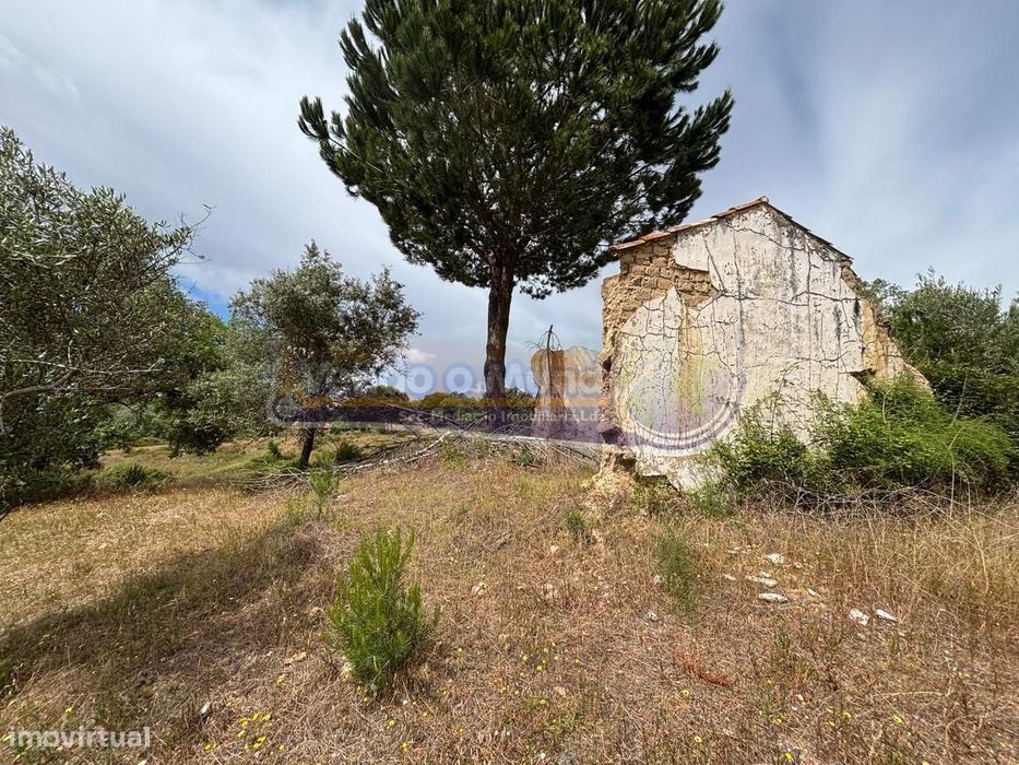 Terreno em Mora (MOR095)