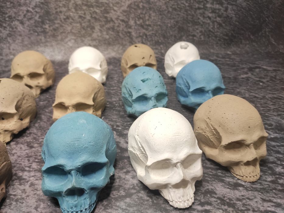 Czaszki Dekoracyjne