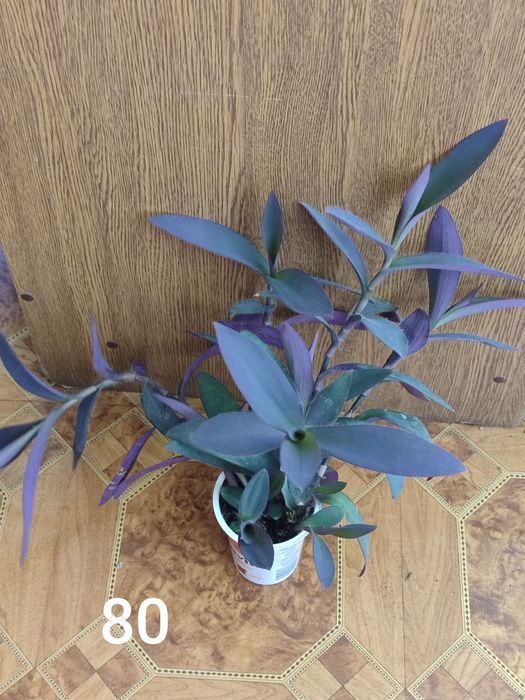 Вазони ціни на фото