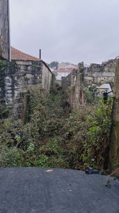 Demolições e terraplanagem - Serviço Profissional
