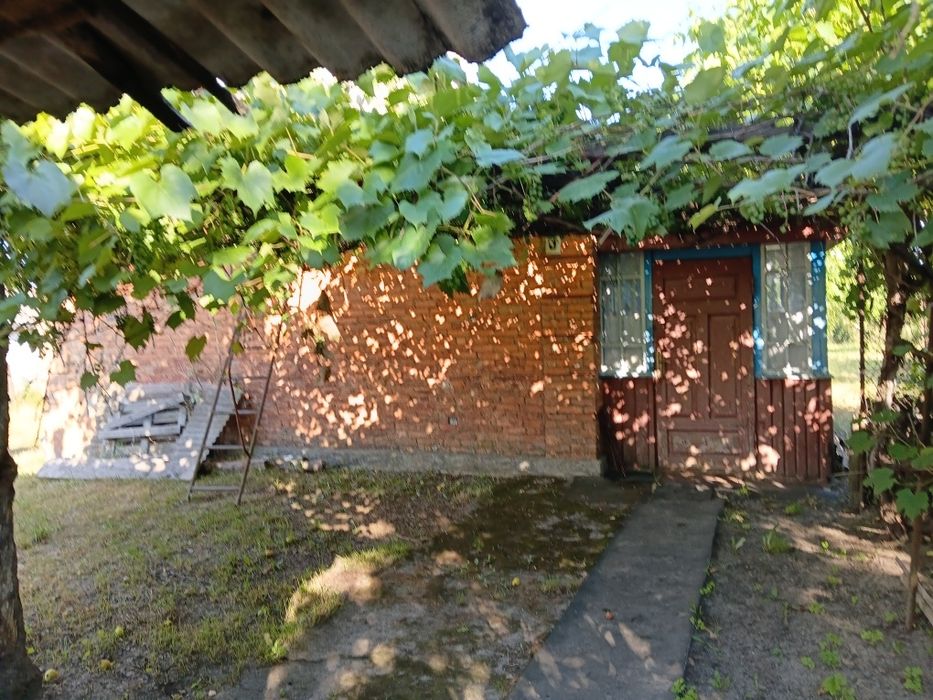 Продам цегляний будинок 80кв.м с. БЕРЕЗІВКА 15км. від ЖИТОМИРА
