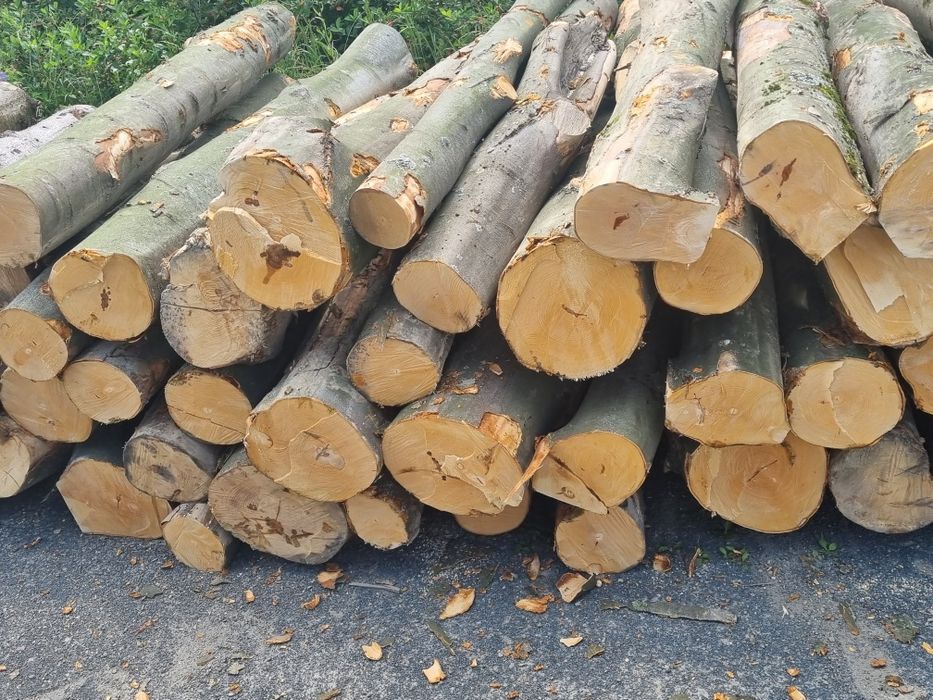 Drewno opałowe,kominkowe,zrzyny tartaczne, Rzeszów,Łańcut,Sokołów Młp