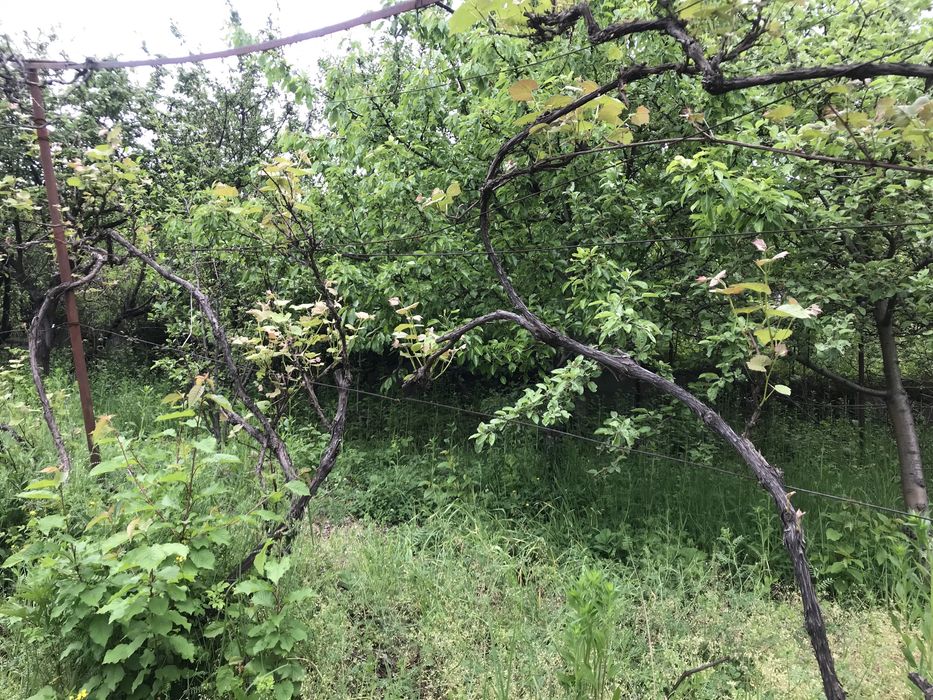 Ділянка з будинком