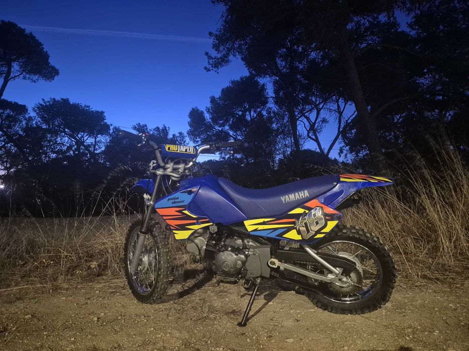 Mota Yamaha TTR 90.