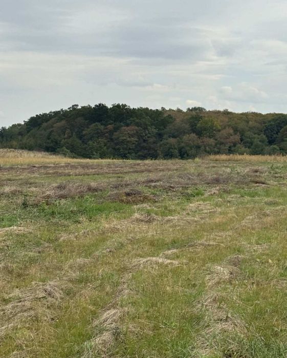 Продаж земельної ділянки с/г призначення, 8 соток, сю Бохоники