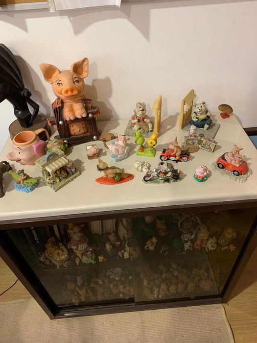 Miniature Pig Collection for Collectors