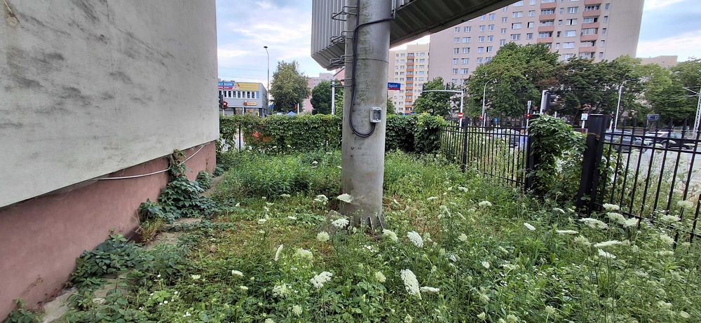 Działka 30m², ścieżka rowerowej – IDEALNA POD SERWIS ROWERÓW HULAJNÓG - Widok 4