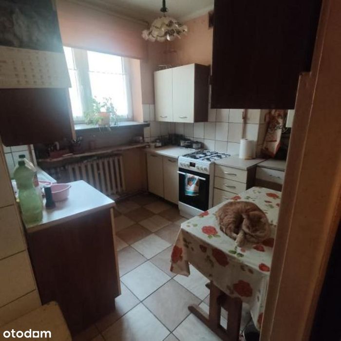 Zdjęcie 7
