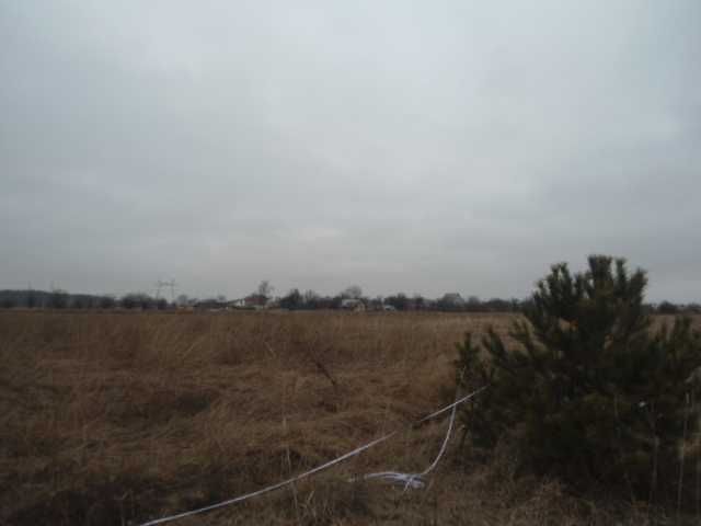 Продажа,обмен,рассрочка участка 3.3Га с.Наливайковка,садовое, лес 300м