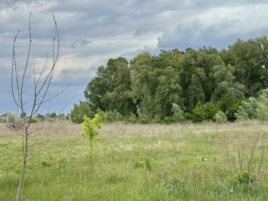 Земельна ділянка фасадна! 3га!! Бориспіль!