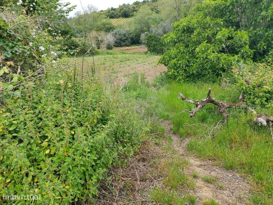 Terreno  para venda