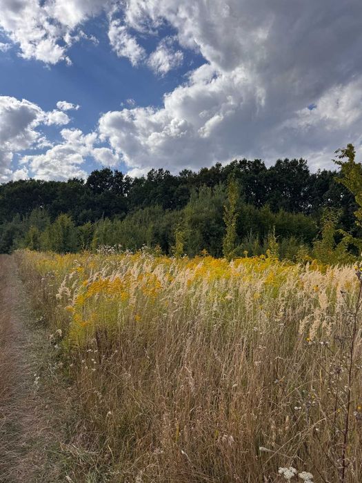 Продається земельна ділянка в Якушинцях