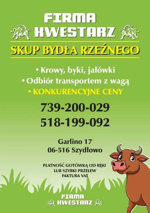 Skup Bydła Rzeźnego Jałówki,Krowy,Byki,Cielaki,Odsadki